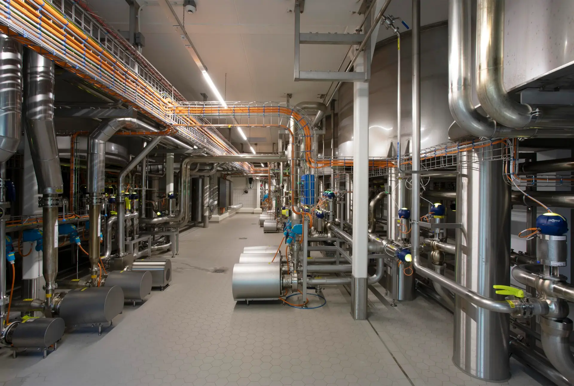 campina, lutjewinkel (34)