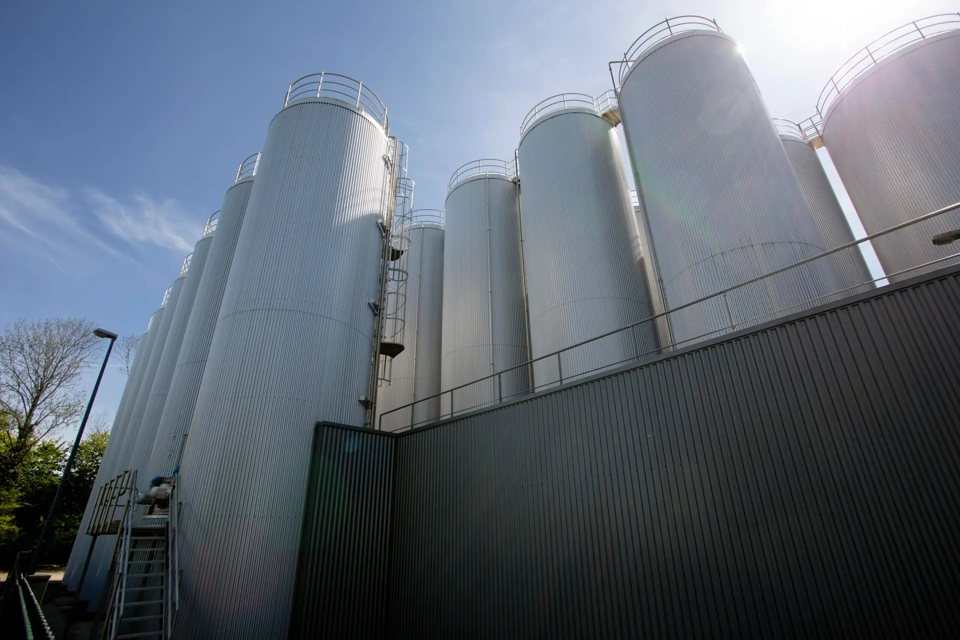 campina, lutjewinkel (43)